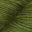 Fern (11)