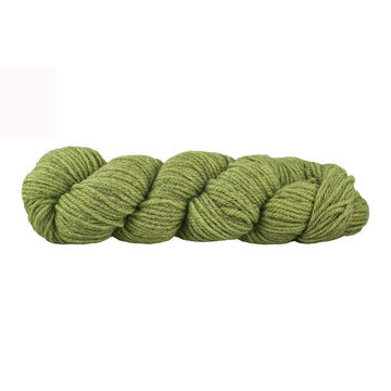 Matcha (H2341)