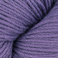Delphinium (05155)