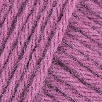 Flieder / Lilac (32)