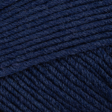 Patriot Blue (14)