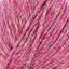 Fuchsia (8)