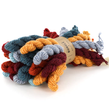 Blue Sky Fibers Woolstok Mini Hank Bundle Yarn - Wool Worsted