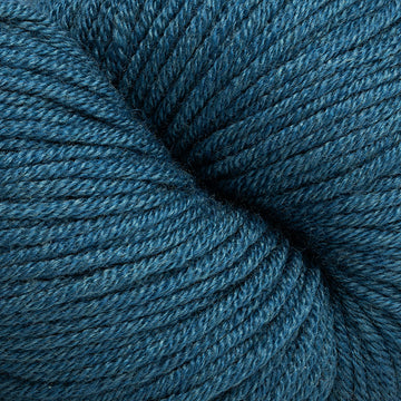 Blue Coral (07)