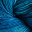 DuplBlue Fish (715)