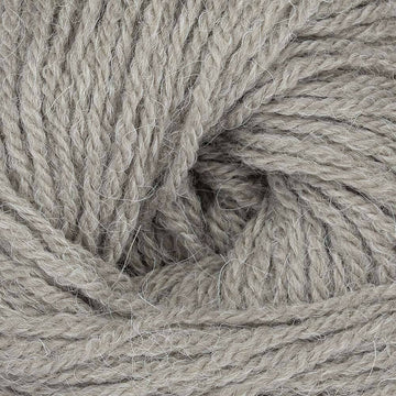 Rabbit (309)