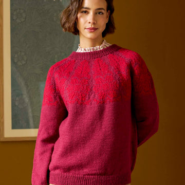 Impressions Four Knitting Patterns in Morris DK by Debbie Bliss & ChloÃƒÂ© Elizabeth Birch