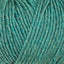 Fern (11293)