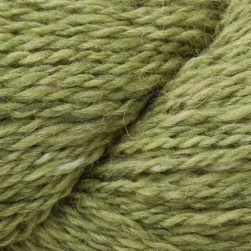 Matcha (43)
