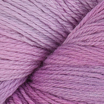 Purple Orchid (2241)