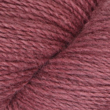 Burgundy (121)