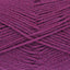 Fuchsia (Dupl4034)