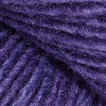 Aster (3038)