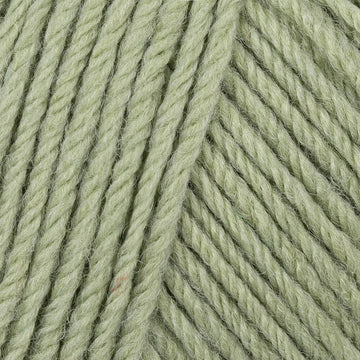 Mint (13)