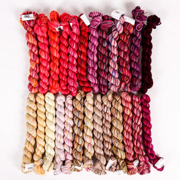 Koigu KPPPM Festive Mini Skein Set Yarn - Merino Wool 4 Ply