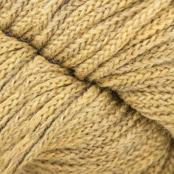 Gold Rush (15)