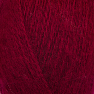 Hip (2152)