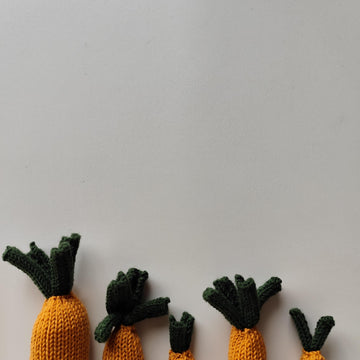 Cute Chantenay Carrot