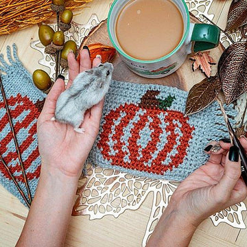 Pumpkin Mug Rug Crochet Coaster