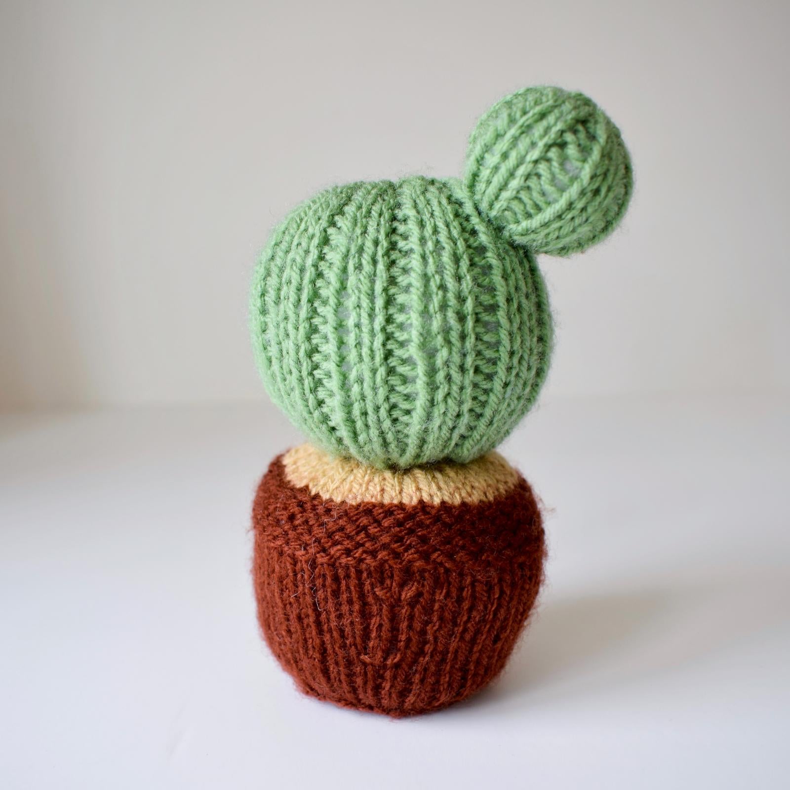 Cactus Pincushion