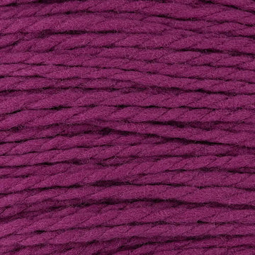 Boysenberry (01)