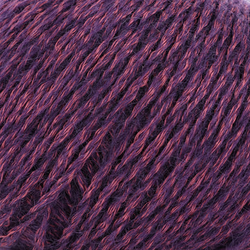Plum (1485)