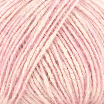 Rose (3)
