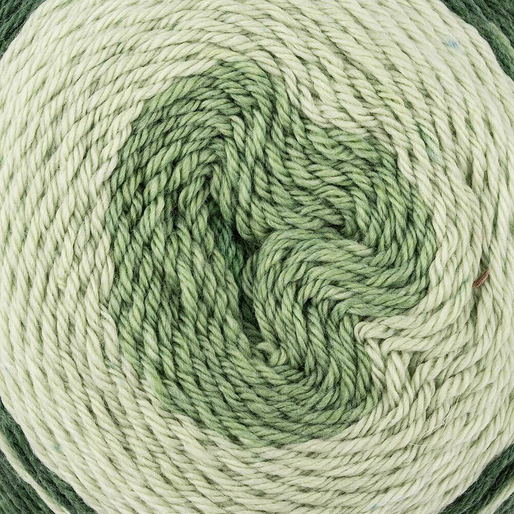 Cascade Yarns Whirligig