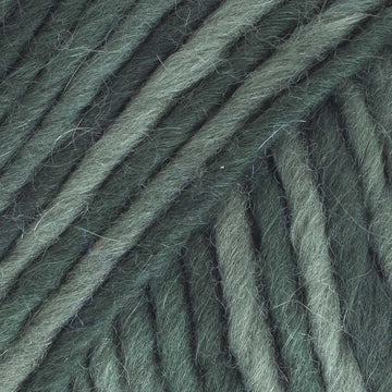 Eucalyptus Leaf (M179)