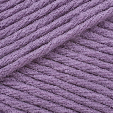 Raspberry Sorbet (Raspberry Sorbet)