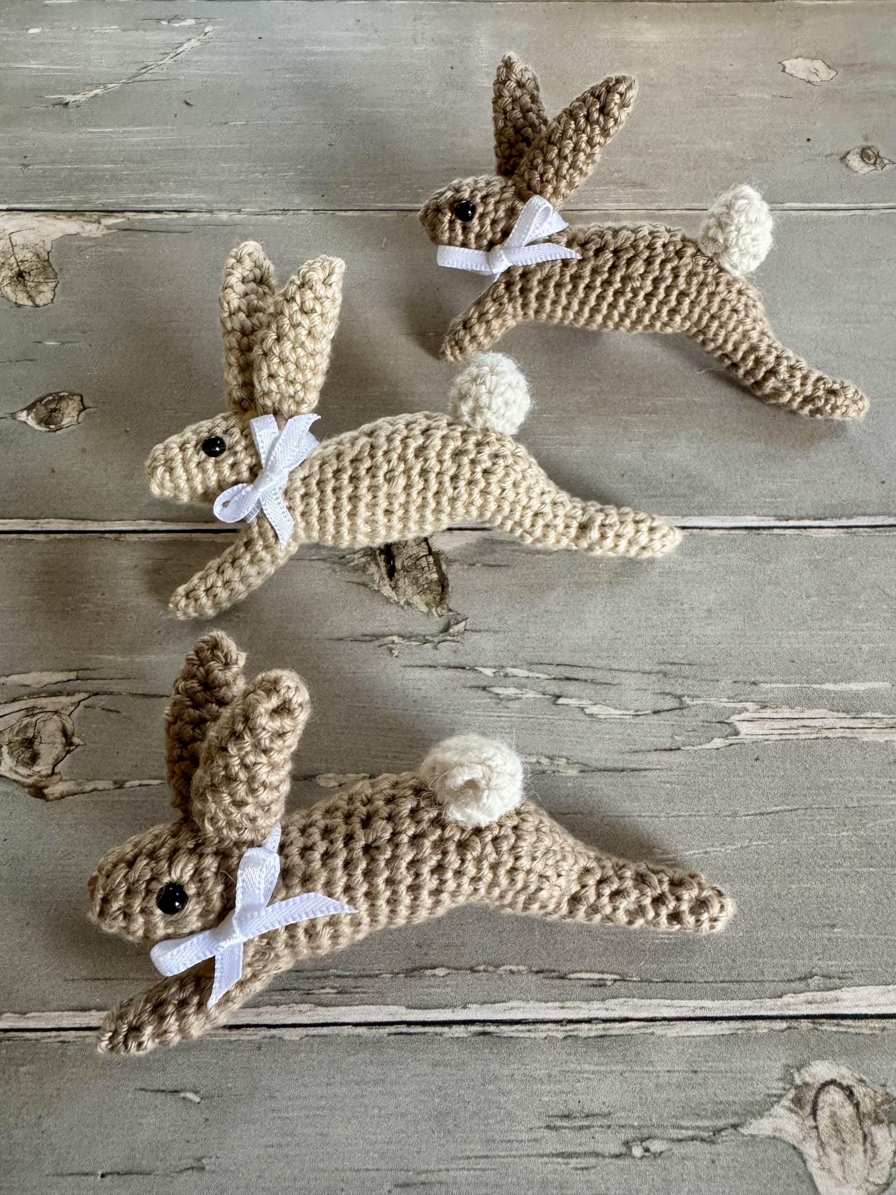 Leaping Spring Hare