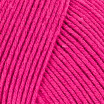 Raspberry (0064)