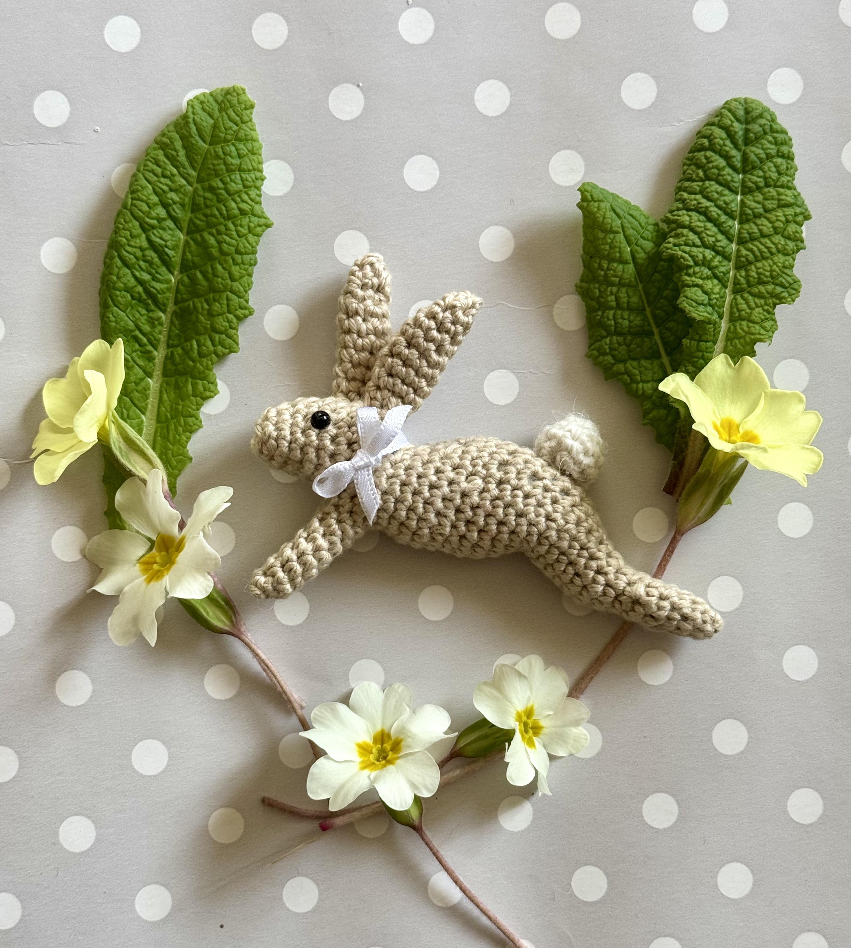 Leaping Spring Hare