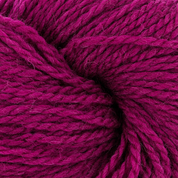 Dragonfruit (18)