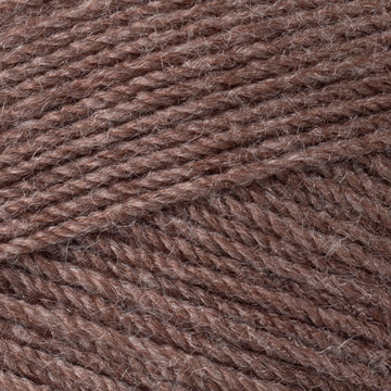 Ferret (3496)