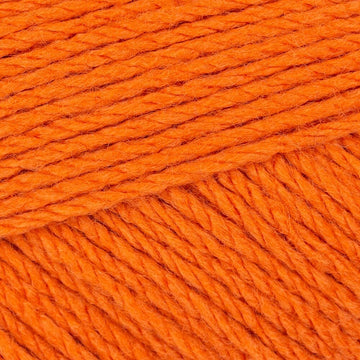 Harvest Pumpkin (99)