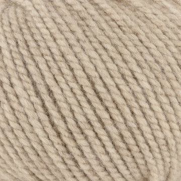 Oatmeal (100145)