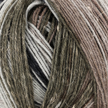 Greys (6)