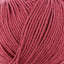 Rose (13)