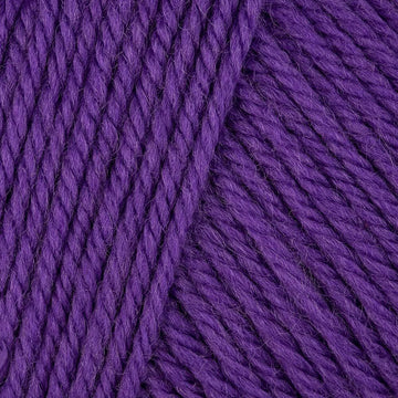 Purple Hyacinth (1986)