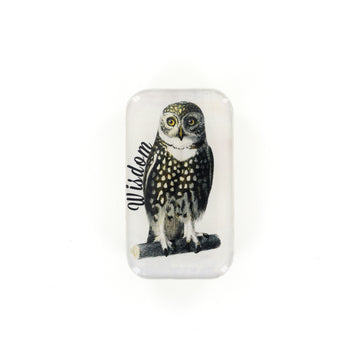 Wise Owl