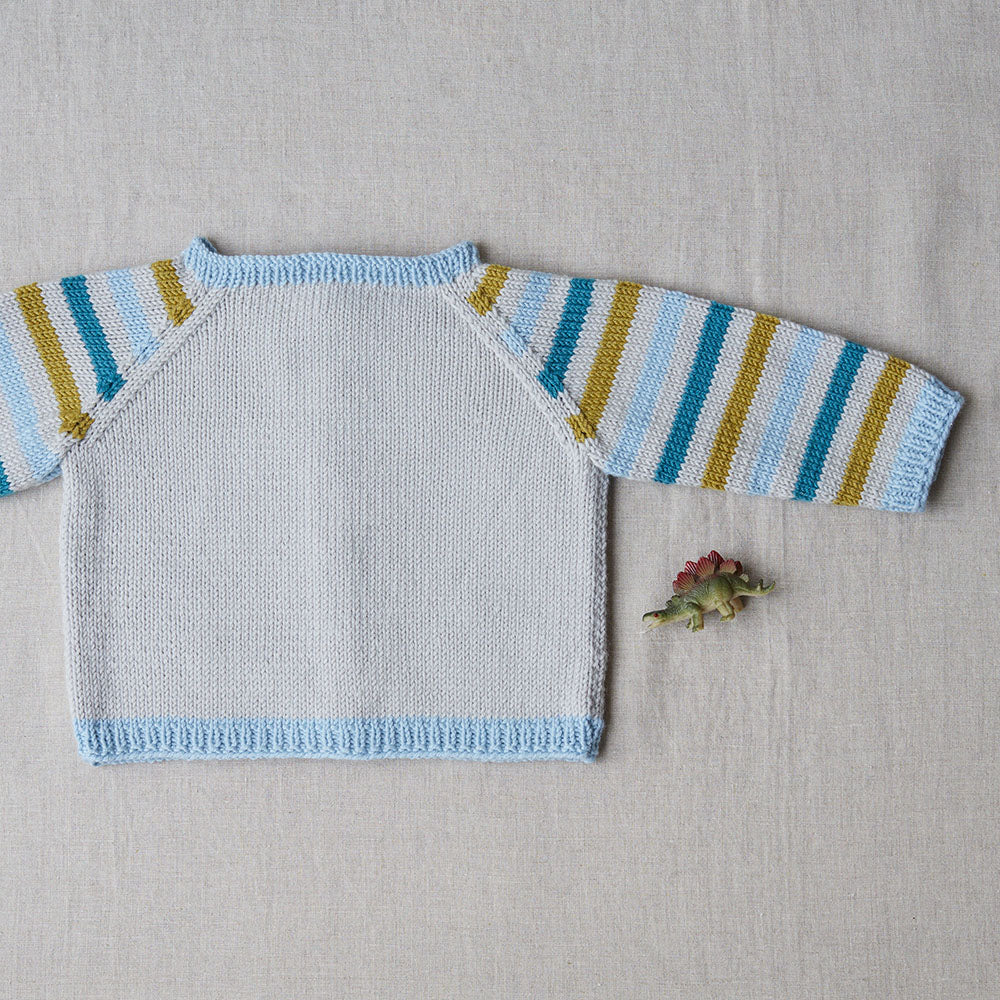 Debbie Bliss Dido Dinosaur Cardigan Knitting Pattern