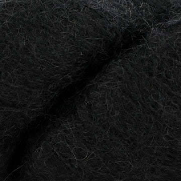 Raven (1101)