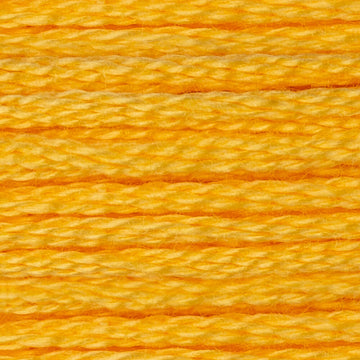 DMC Stranded Cotton - Warm Shades Yarn