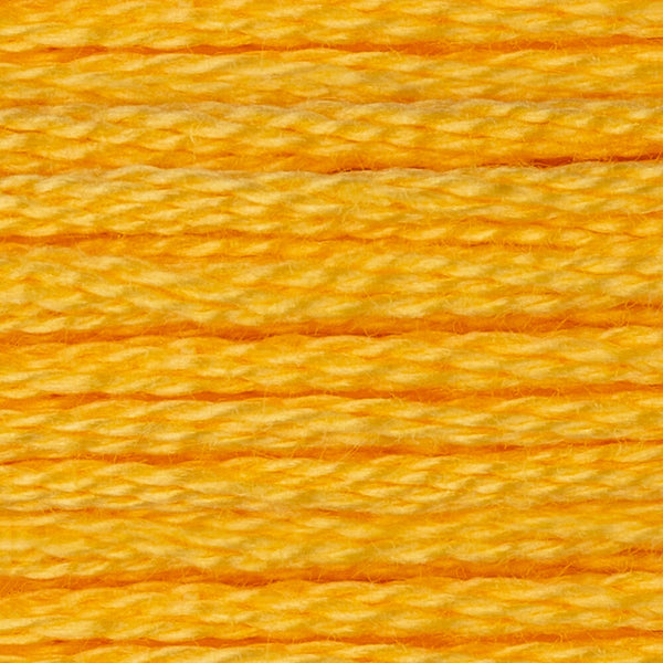 DMC Stranded Cotton - Warm Shades Yarn