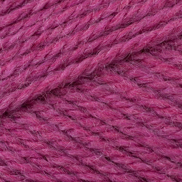 Petunia (3347)
