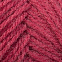 Rhubarb (789)