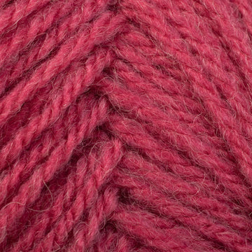 Rhubarb (789)