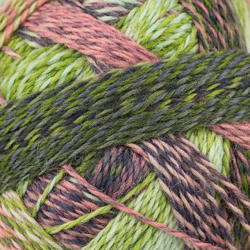 Blasser Schimmer (2170)