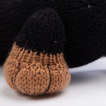 Deramores Stanley the Dachshund PDF